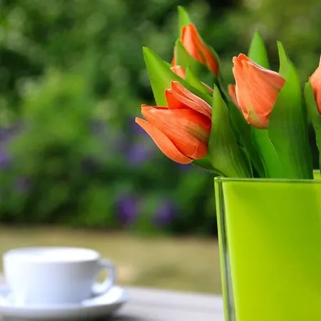 Apartman Strandgut *