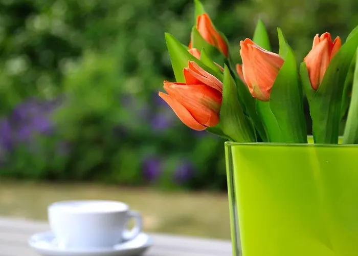 Apartman Strandgut *